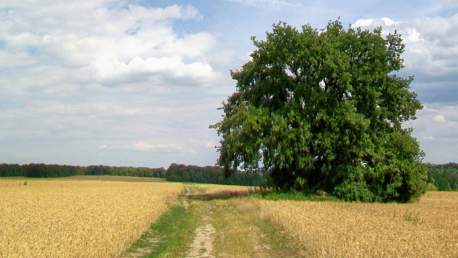 Vue de Gouvieux, Oise (60)
